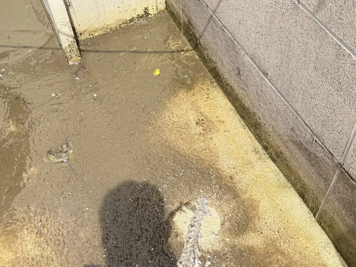 검단구 금곡동 침수 현장 복도·대기 동선 야간 위생청소 사례 - 행진크린